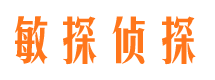 宜秀市调查公司